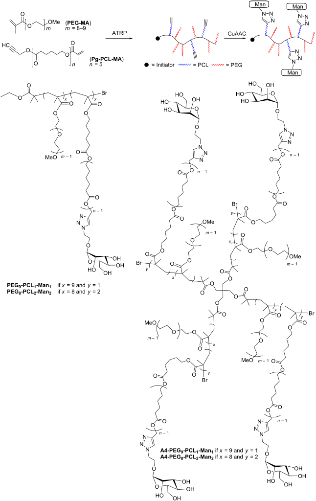 [2190-4286-10-212-1]