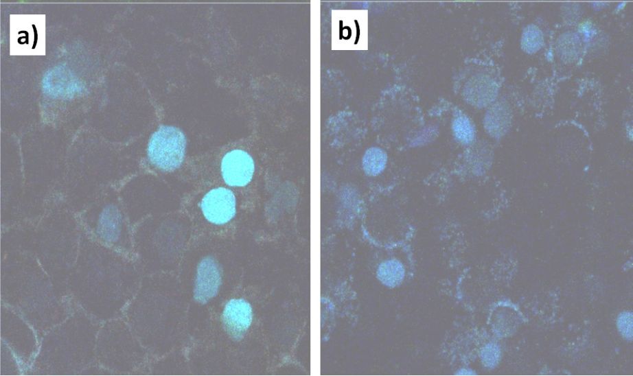 [2190-4286-10-233-9]