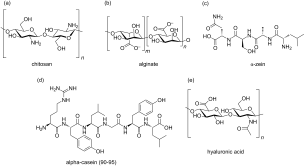 Exploring the potential of polymers: advancements in oral