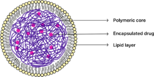 BJNANO - Exploring the potential of polymers: advancements in oral