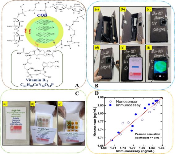 BJNANO - Optical bio/chemical sensors for vitamin B12 analysis in