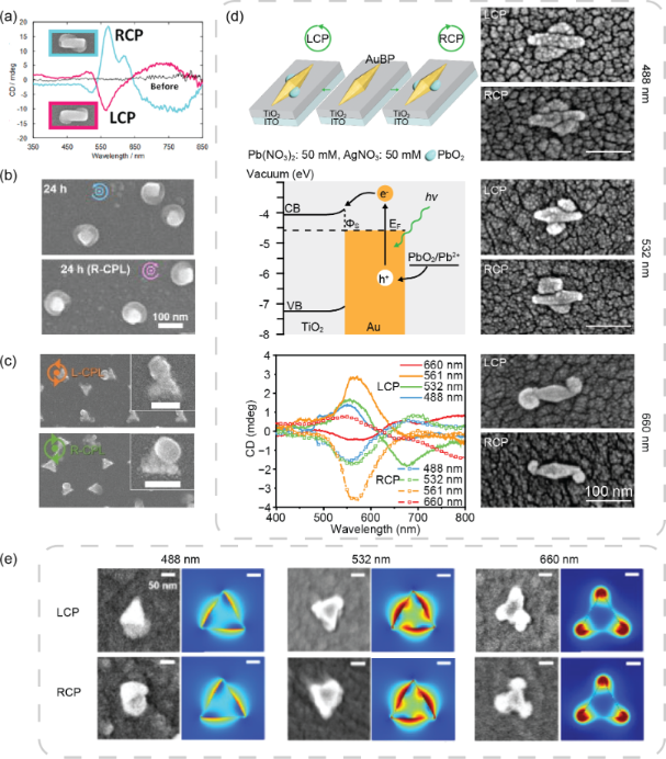 BJNANO - Chiral plasmonic nanostructures fabricated with circularly  polarized light