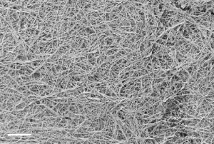 BJNANO - Visualizing nanostructures in supramolecular hydrogels: a ...
