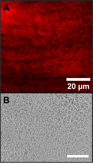BJNANO - Visualizing nanostructures in supramolecular hydrogels: a ...