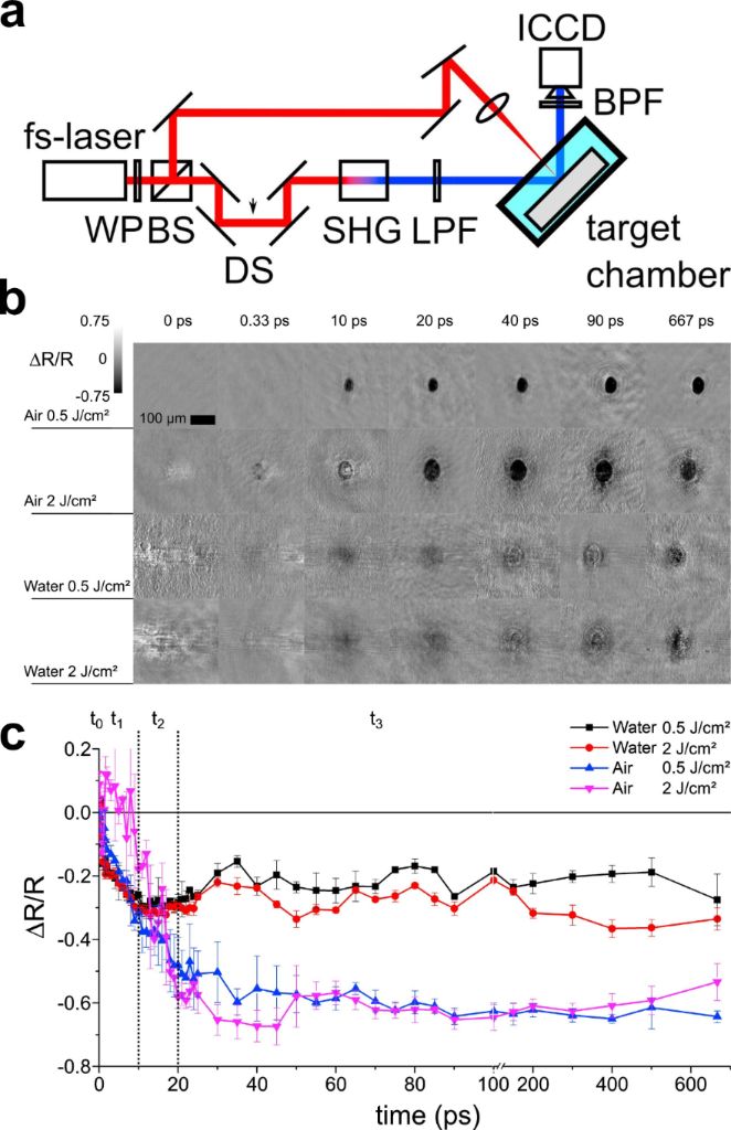[2190-4286-17-22-17]