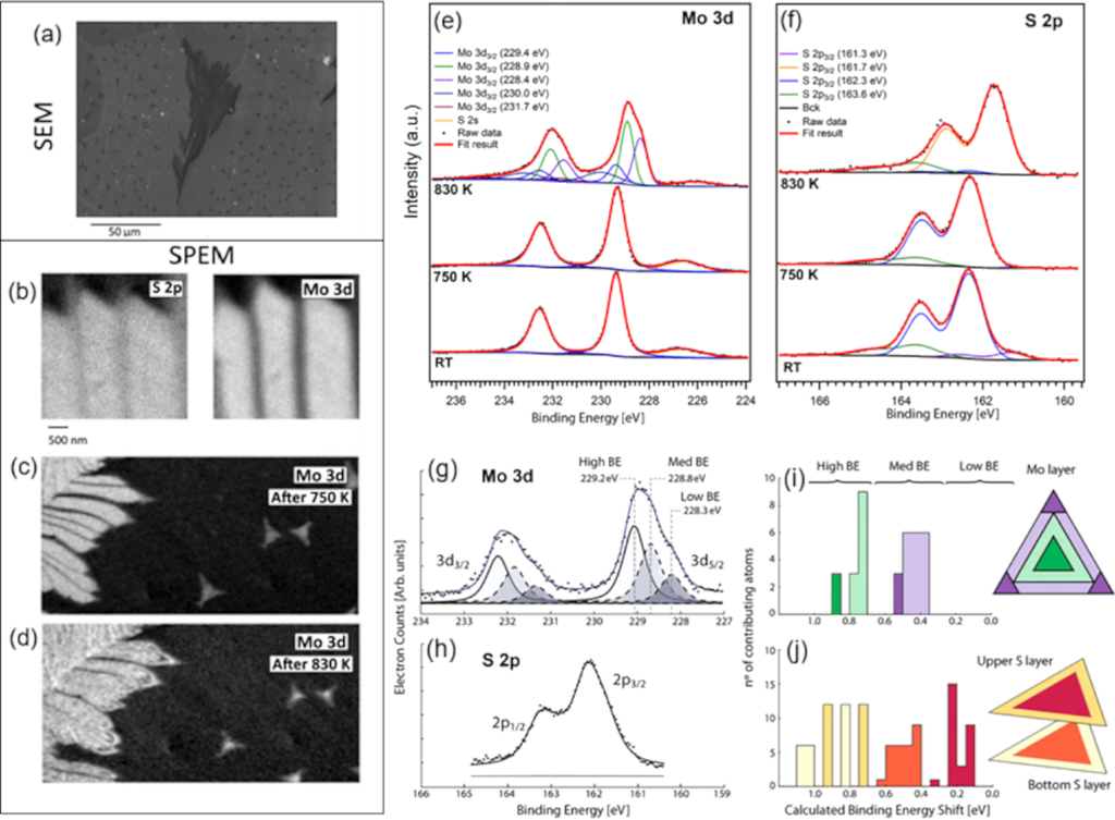 [2190-4286-17-31-12]