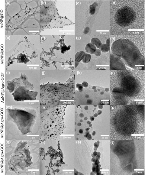 BJNANO - Upcycling agroindustrial waste into graphene oxide