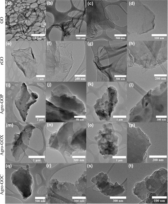 BJNANO - Upcycling agroindustrial waste into graphene oxide
