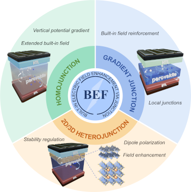 Graphical Abstract