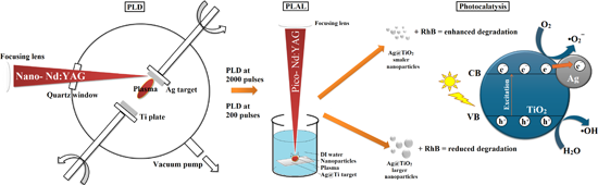 Graphical Abstract