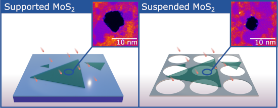 Graphical Abstract