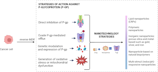 Graphical Abstract
