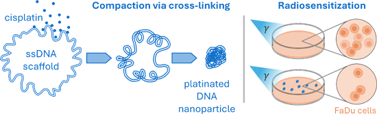 Graphical Abstract
