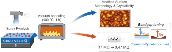 Graphical Abstract