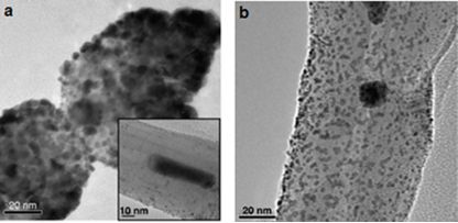 BJNANO - Functionalization of vertically aligned carbon nanotubes