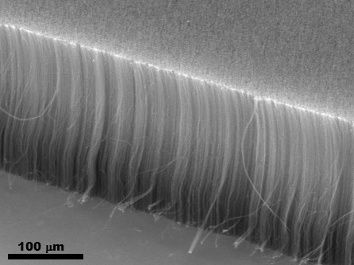 Vertically Aligned Carbon Nanotubes
