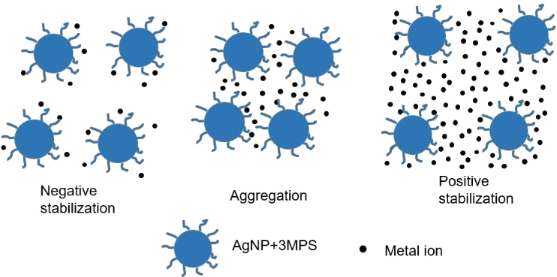 Stability of the YGYGY and HGHGH nanoparticles in water and in