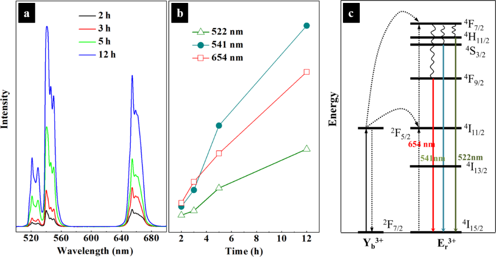 (PDF) Ultraviolet phototoxicity of upconversion 