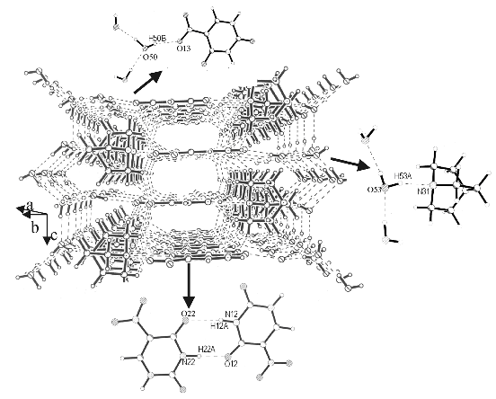 Hydrogen bonding patterns in the cocrystals of 5-nitrouracil with ...