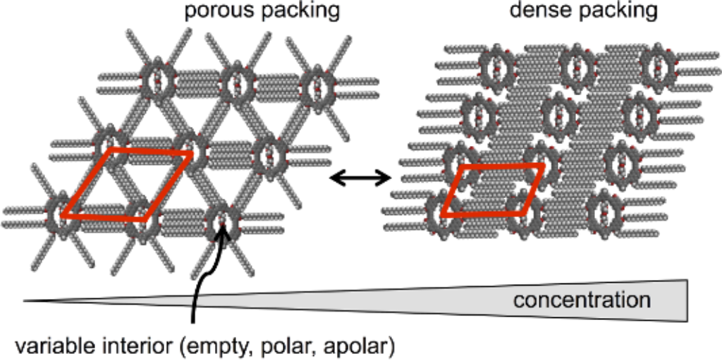 Self-assembled monolayers of shape-persistent macrocycles on graphite ...
