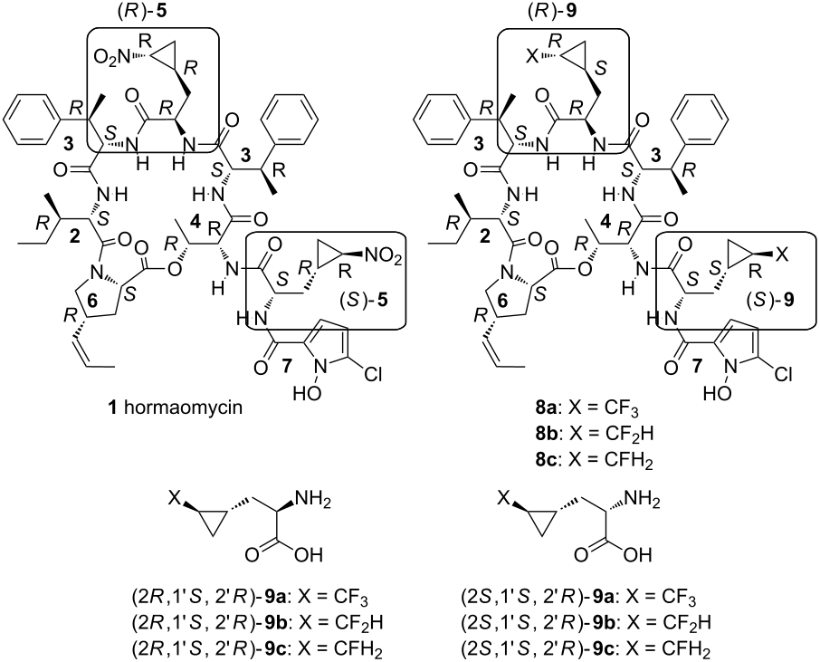 [1860-5397-10-302-1]