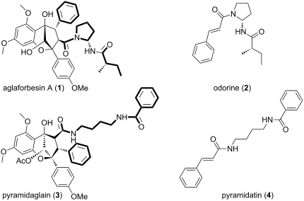 Bisamide Total synthesis of (+)-grandiamide D, dasyclamide and gigantamide A ...