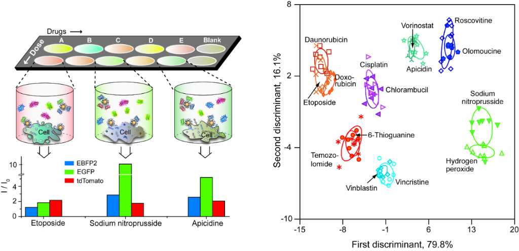 [1860-5397-12-161-5]