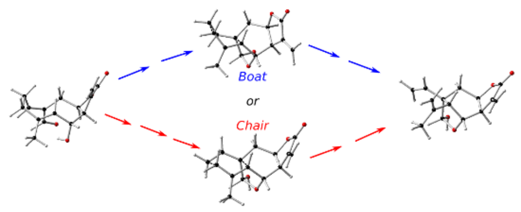 BJOC - Are boat transition states likely to occur in Cope ...