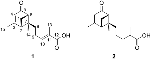 [1860-5397-15-216-1]