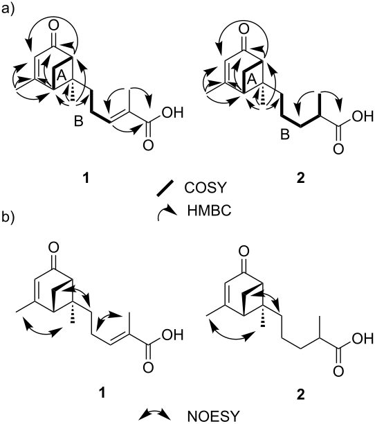 [1860-5397-15-216-2]