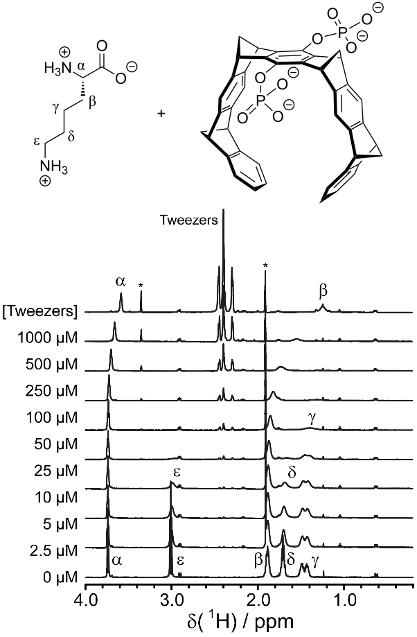 [1860-5397-16-203-2]