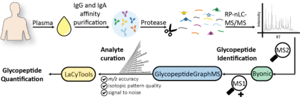BJOC - Semiautomated glycoproteomics data analysis workflow for ...