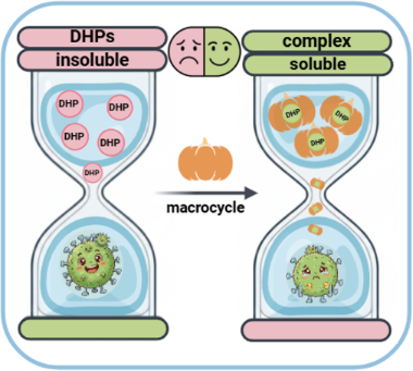 Graphical Abstract