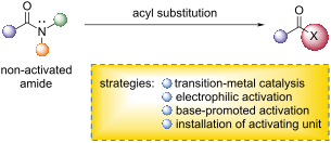 Graphical Abstract