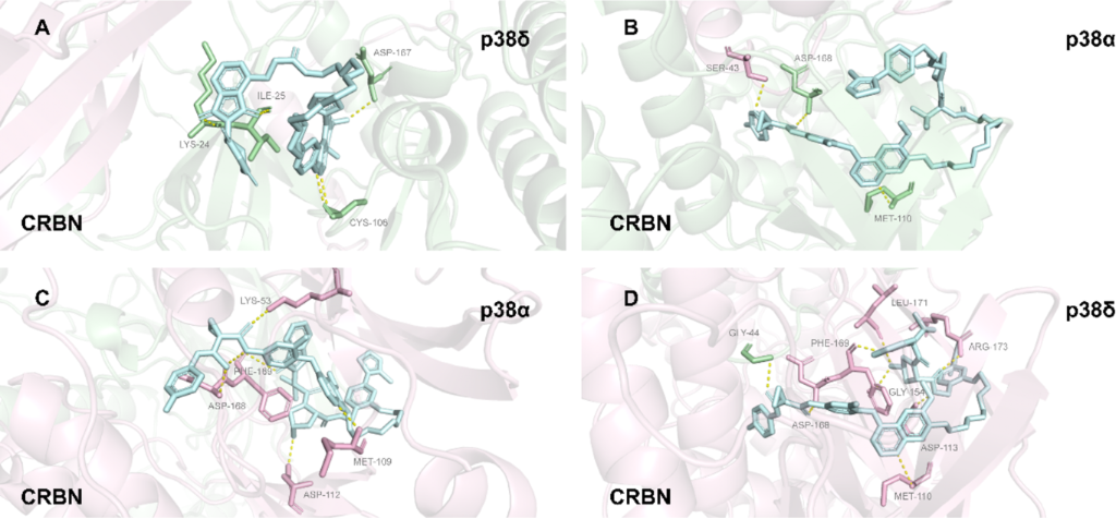 [1860-5397-22-49-24]