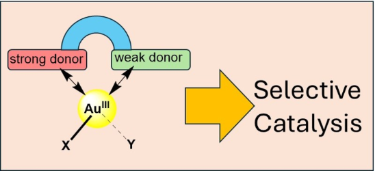 Graphical Abstract