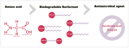 Graphical Abstract