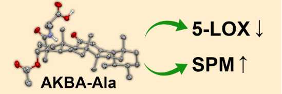Graphical Abstract