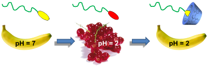 Graphical Abstract