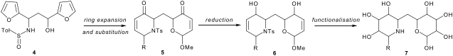 Methods for the synthesis of polyhydroxylated piperidines by ...