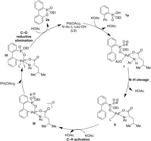 Synthesis of ethoxy dibenzooxaphosphorin oxides through palladium ...