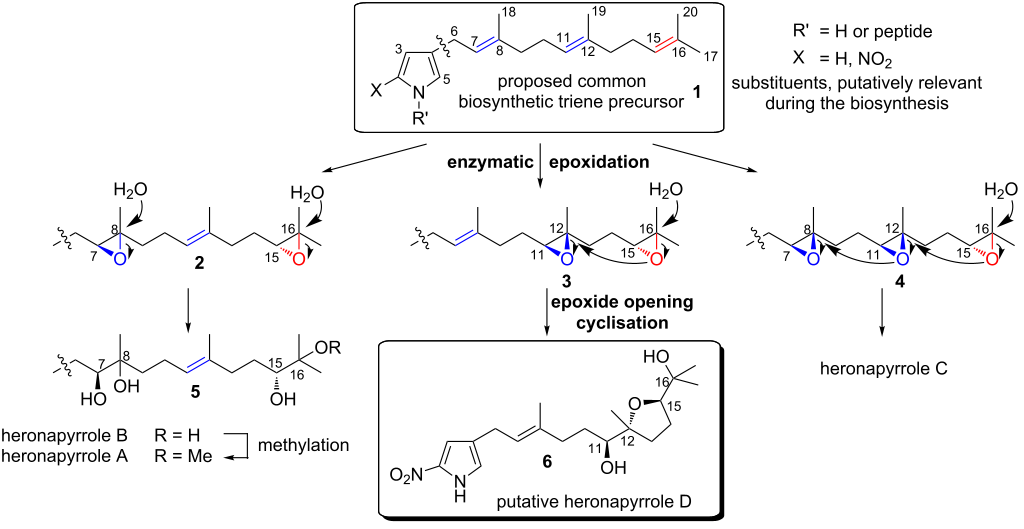 [1860-5397-10-121-i1]