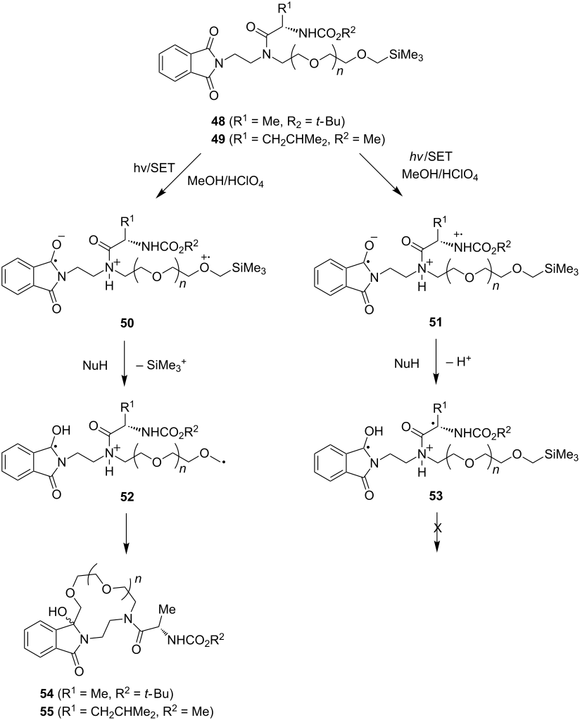 [1860-5397-10-47-i12]