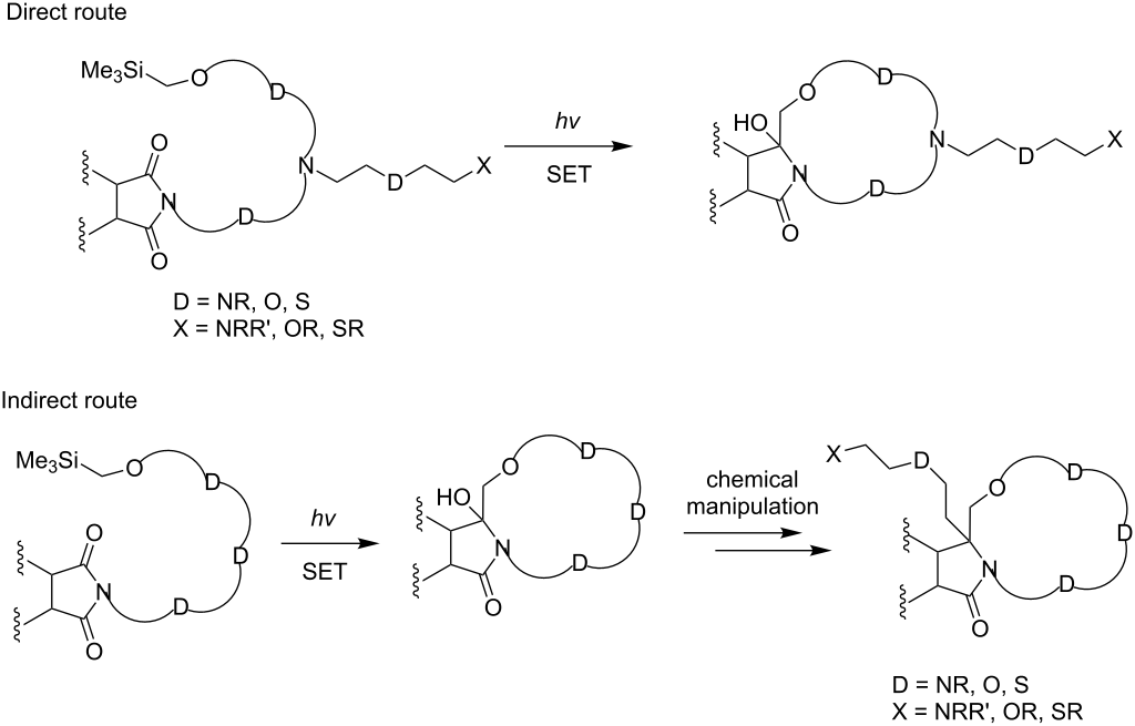 [1860-5397-10-47-i6]