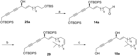 Stereoselective total synthesis and structural revision of the ...