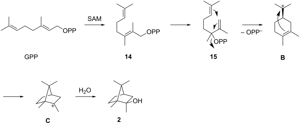 [1860-5397-15-115-i2]