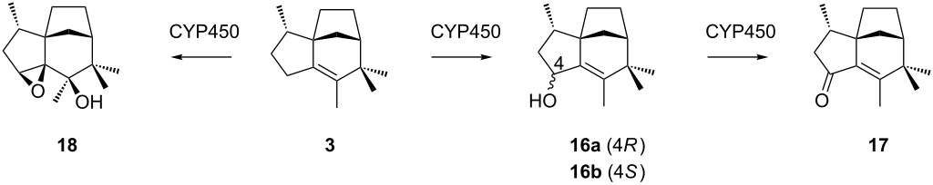 [1860-5397-15-115-i3]