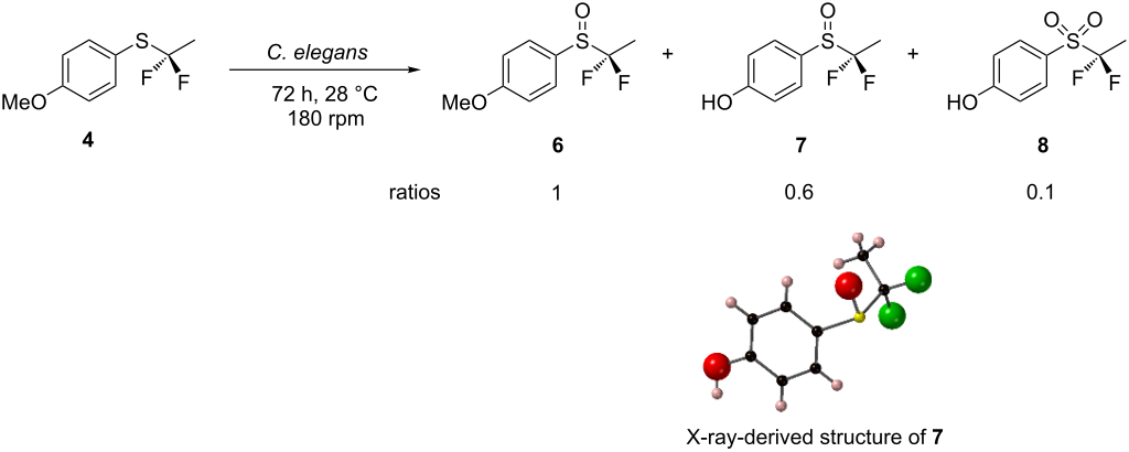 [1860-5397-15-144-i1]