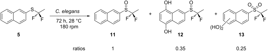 [1860-5397-15-144-i3]