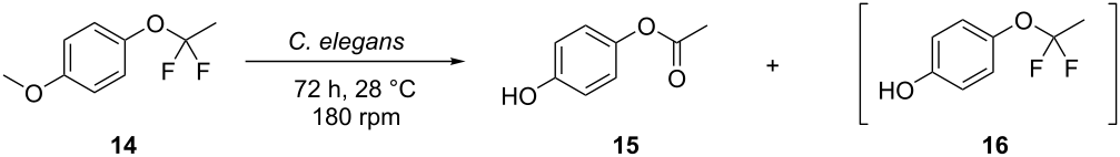 [1860-5397-15-144-i4]